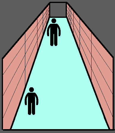 Perception of the distance