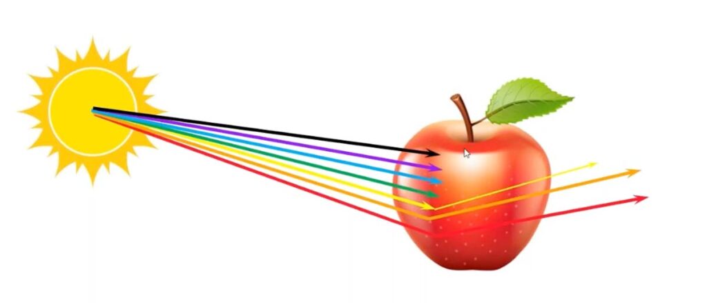 Perception of the color